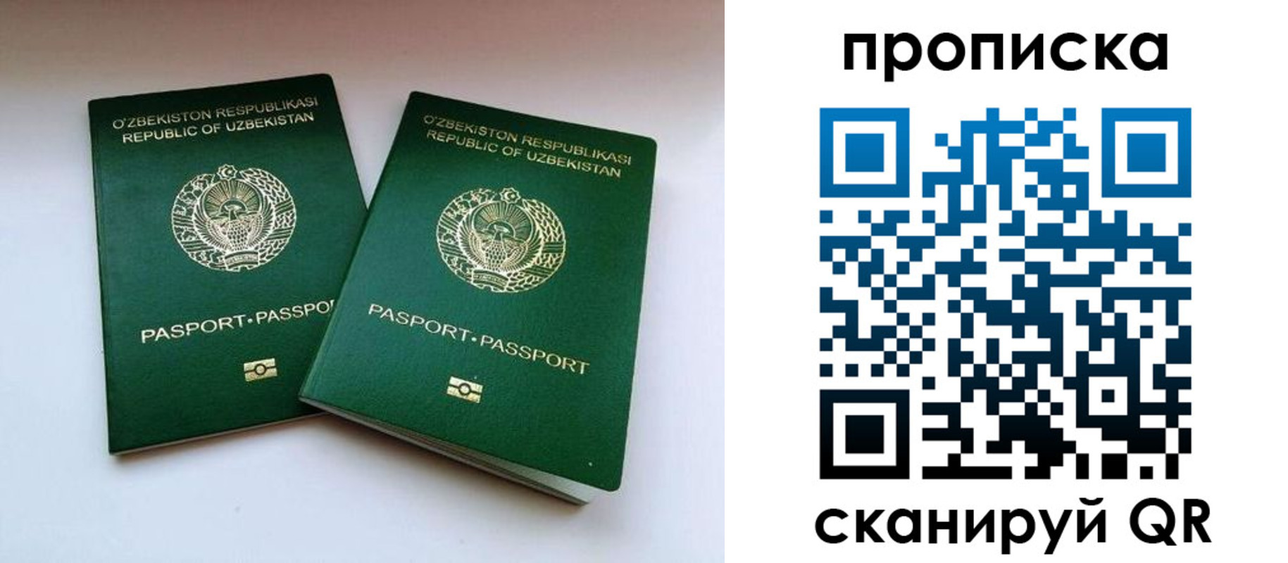 прописка поиск в Кирсе